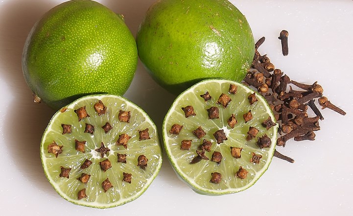 duoi-muoi-bang-chanh