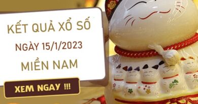 Thống kê XSMN 15/1/2022 dự đoán cầu VIP miền Nam