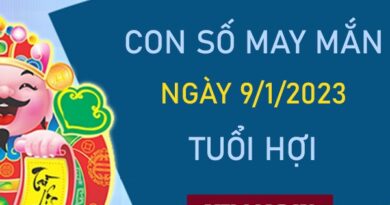 Con số may mắn tuổi Hợi 9/1/2024 – Hôm nay đánh con gì?