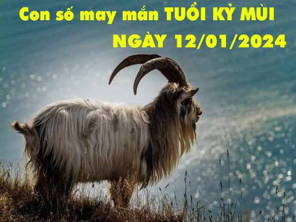 Phân tích con số may mắn tuổi Kỷ Mùi ngày 12/1/2024