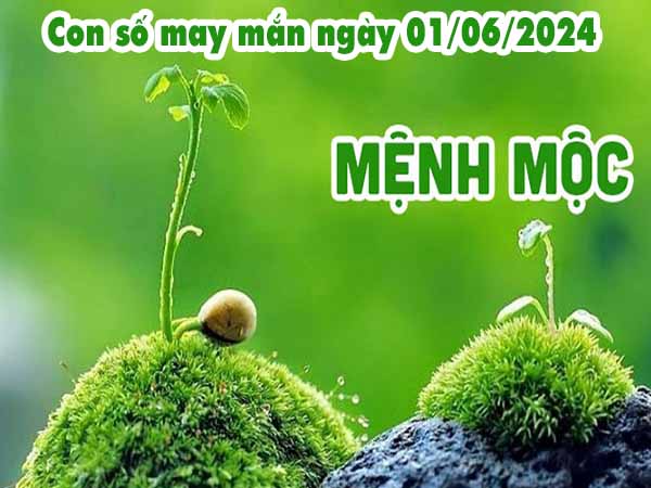 Phân tích con số may mắn người mệnh Mộc ngày 1/6/2024 thứ 7