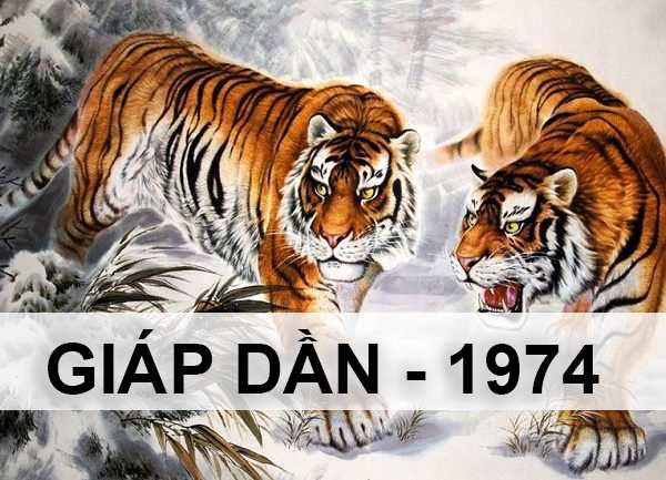 Con số may mắn tuổi Giáp Dần hôm nay 16/6/2024 dễ trúng