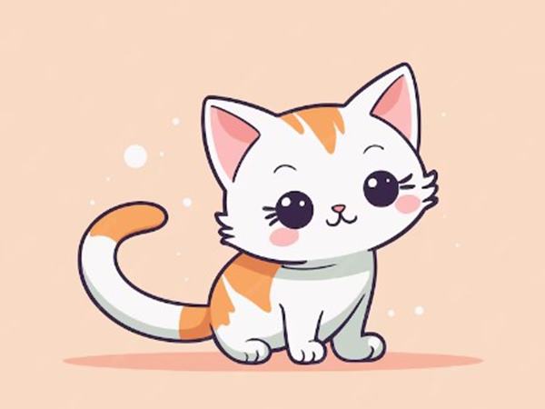 Con số may mắn tuổi Mão ngày 27/8/2024 hôm nay