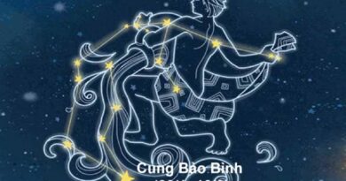 cung Bảo bình