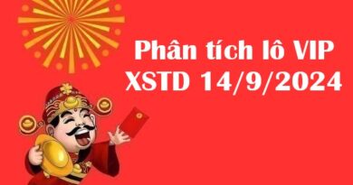 Phân tích lô VIP XSTD 14/9/2024