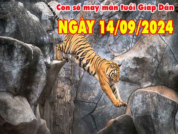 Con số may mắn tuổi Giáp Dần ngày 14/9/2024 thứ 7 hôm nay