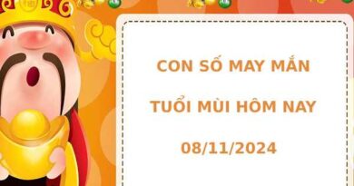 Con số may mắn tuổi Mùi ngày 8/11/2024 hôm nay phát tài