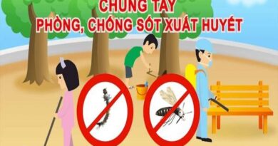 Chia sẻ cách phòng bệnh sốt xuất huyết an toàn nhất