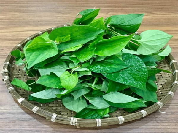 Cách ăn rau diếp cá sống hiệu quả nhất