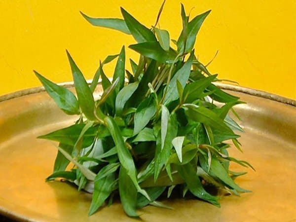 Rau nên tránh hoặc hạn chế trong 3 tháng đầu