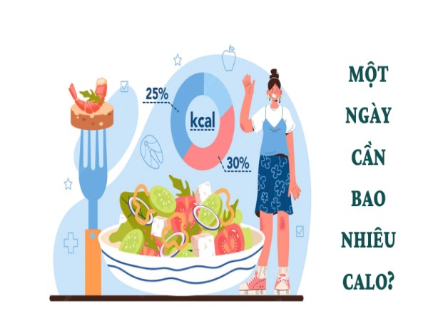 Cách tính TDEE tại nhà cực đơn giản Cách tính TDEE tại nhà cực đơn giản