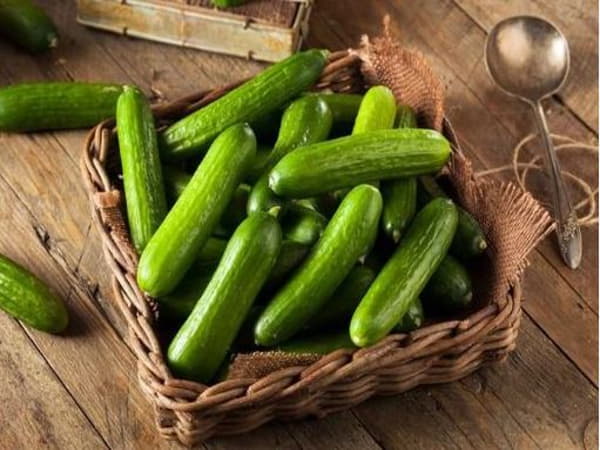 Kết hợp dinh dưỡng là chìa khóa đốt mỡ bền vững